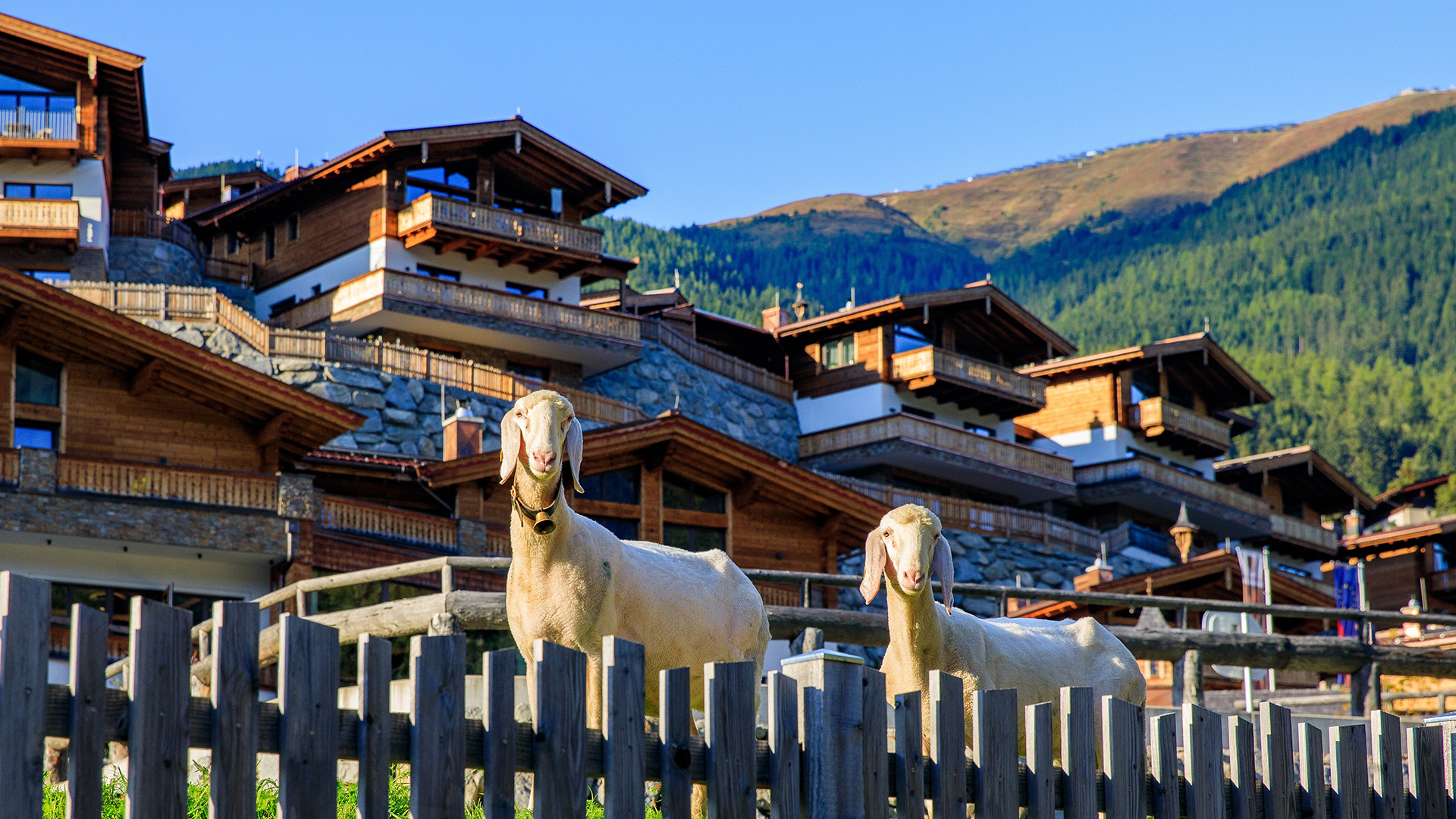 Adults Only Chalet